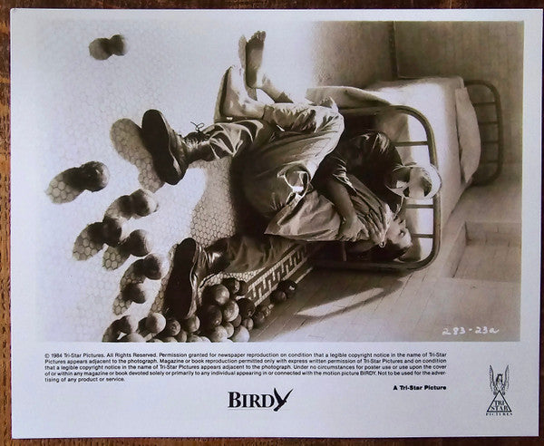 Peter Gabriel - Alan Parker's Birdy, Music By Peter Gabriel