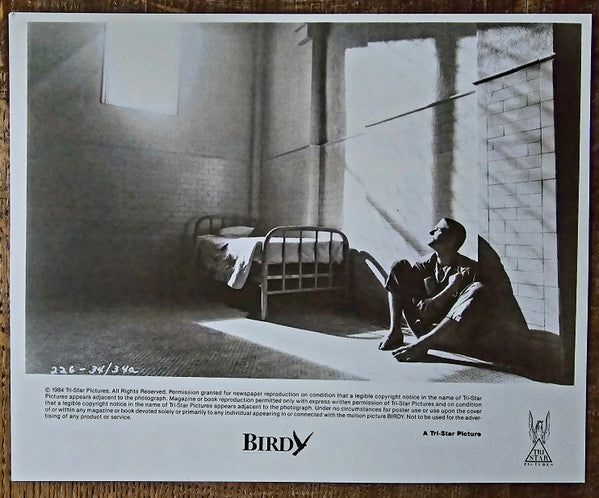 Peter Gabriel - Alan Parker's Birdy, Music By Peter Gabriel
