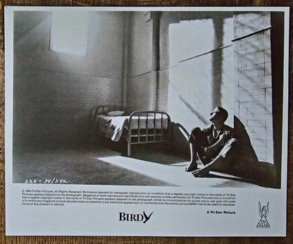 Peter Gabriel - Alan Parker's Birdy, Music By Peter Gabriel